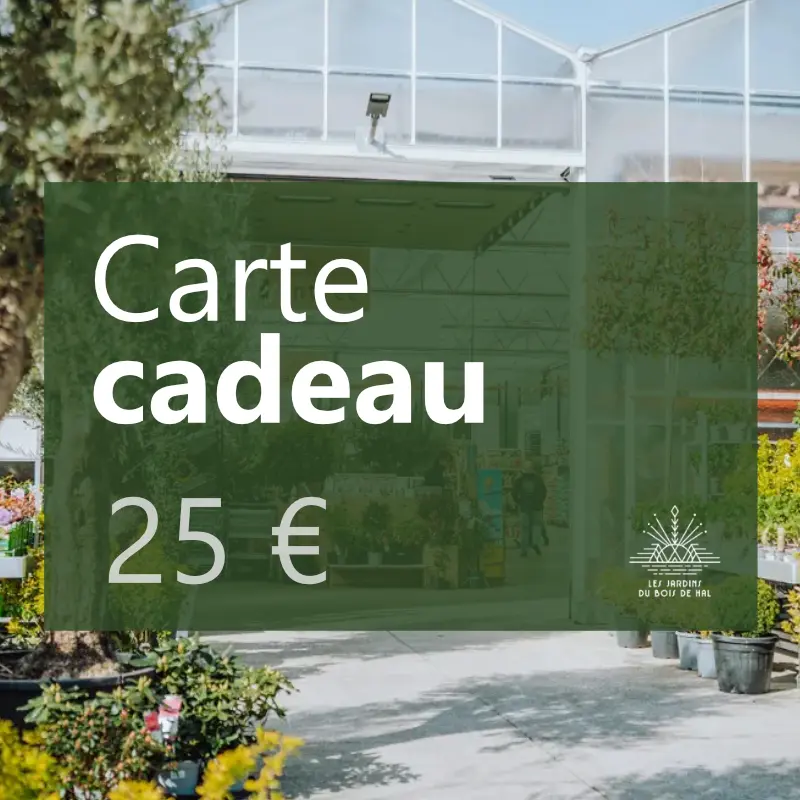 Carte-cadeau 25€