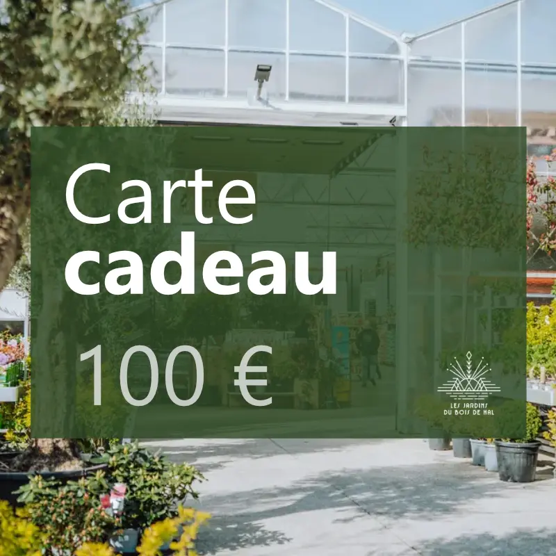 Carte-cadeau 100€